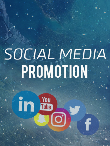 Social Media Promotion
